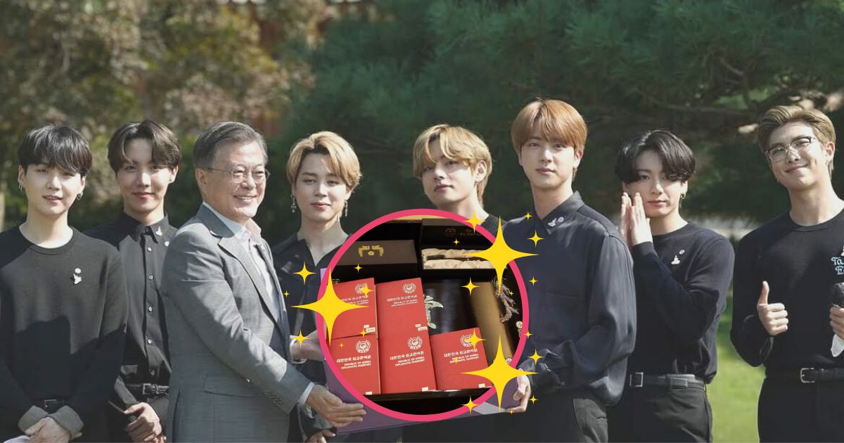 A Look At BTS's New Diplomatic Passports, Envoy Appointment Letters And