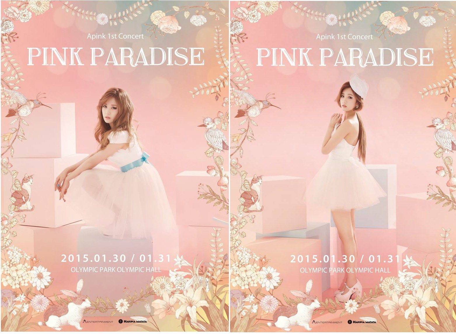 Apink releases concert poster for 