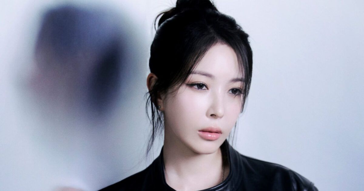 Fans Criticize SM’s Statement To Take Legal Action Against Malicious Attacks Towards BoA