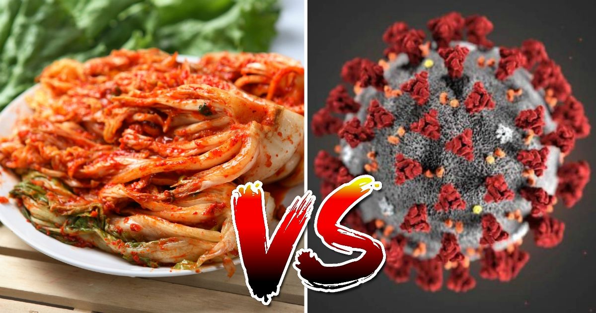 Study Shows That Eating Kimchi Can Help You Survive COVID19, So It's