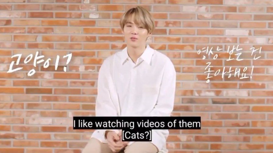 BTS S Suga Loves Cats As Much As You Think He Does But There S