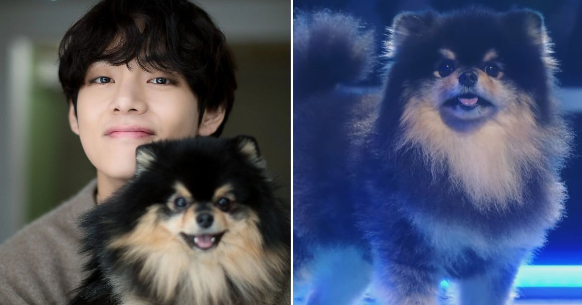 "The K-Pop Nepotism Baby!" BTS V's Dog Yeontan Makes History After A ...