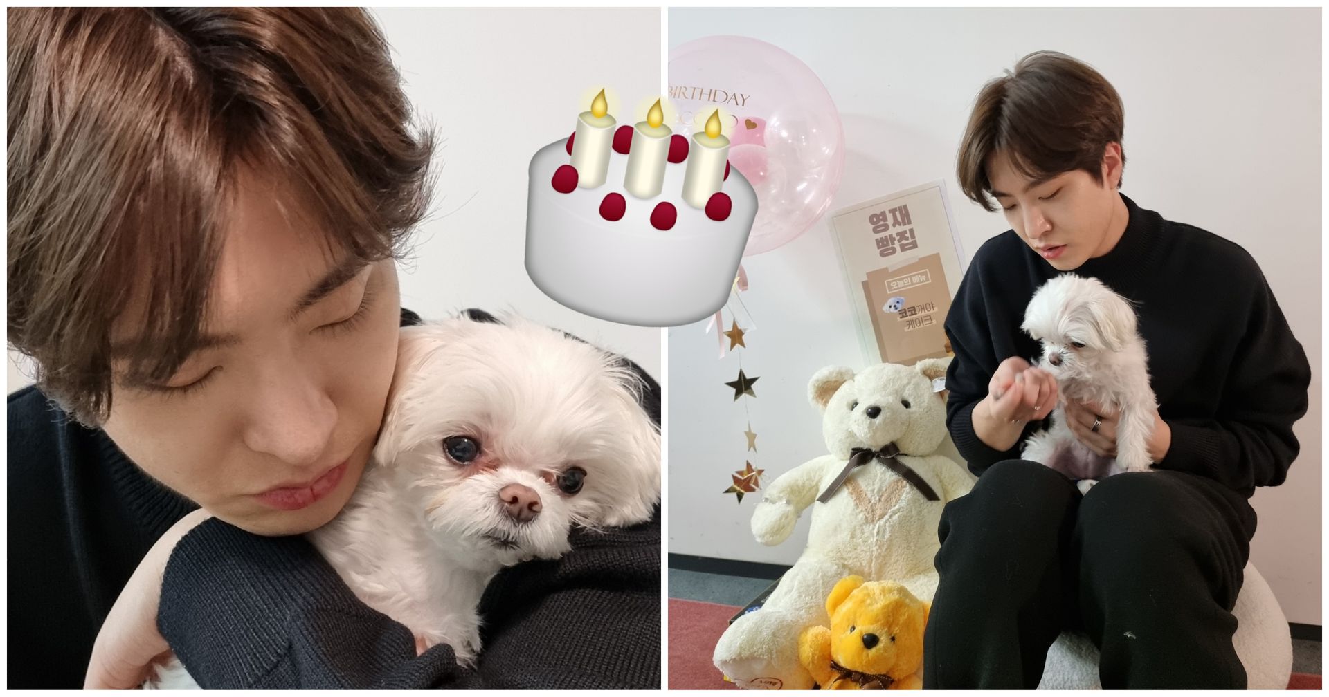 GOT7's Youngjae Makes Cake For His Dog Coco's Birthday Koreaboo