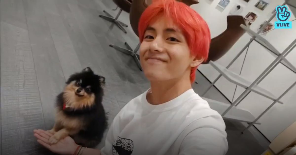 BTS V Introducing Yeontan Is 2018 Best Video of V Live - Koreaboo