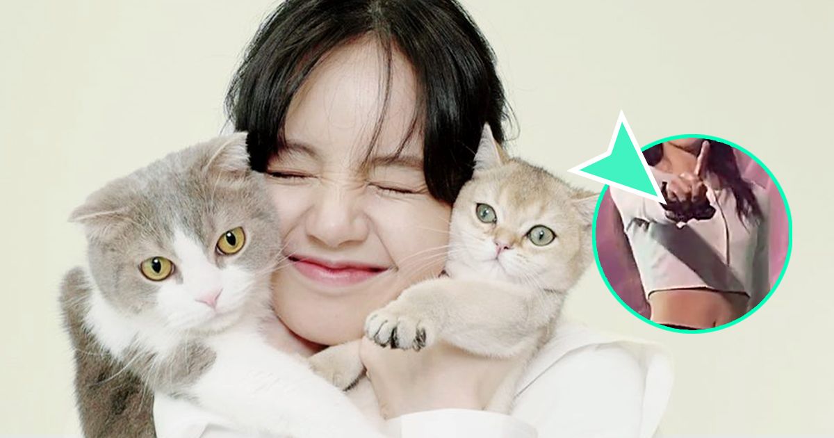 BLACKPINK Lisa's Reaction To A Fan Asking To "Borrow" Her Cat Lily Is