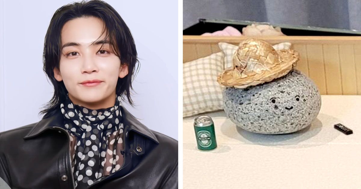 Seventeen S Jeonghan Shuts Down A Rumor About His Pet Rock Koreaboo