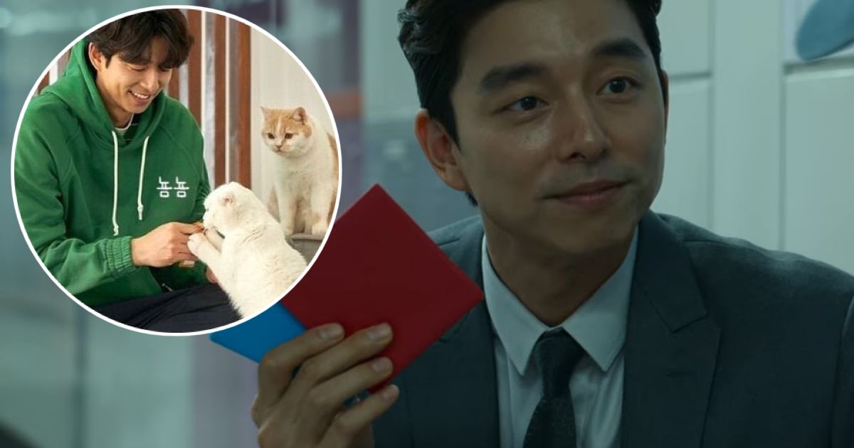 Here's What Superstar Actor Gong Yoo Is Like In Real Life Koreaboo