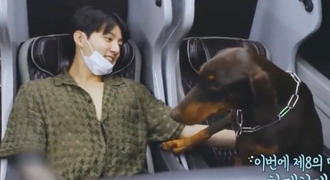 BTS Jungkook's 10 Most Wholesome Dog Dad Moments From Episode 1 Of "BTS In The SOOP 2" Koreaboo