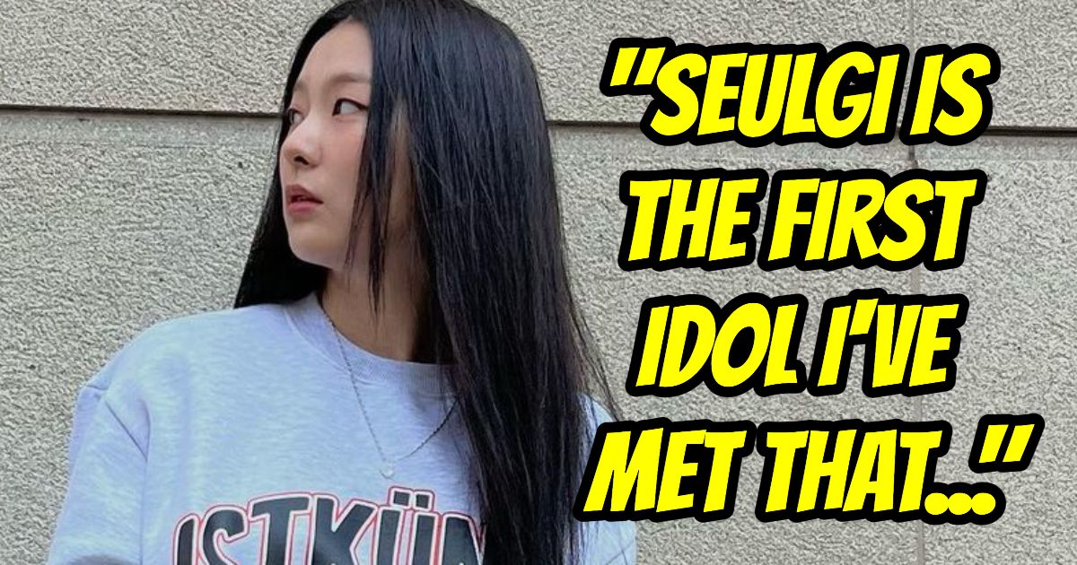 Red Velvet Seulgi's True Personality, According To A Lucky Fan Who Met