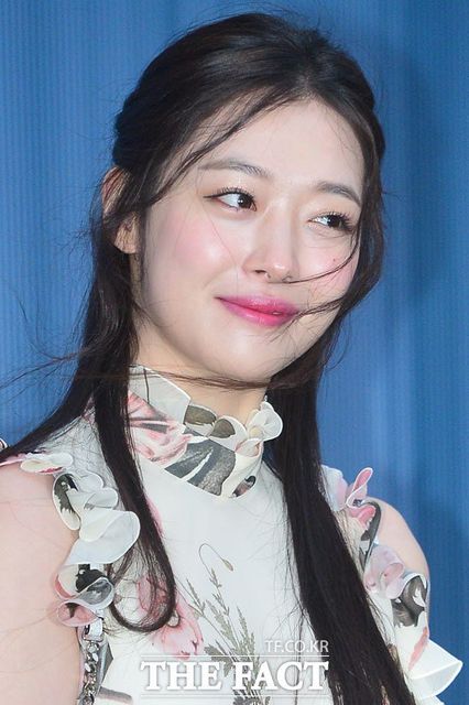 sulli 1