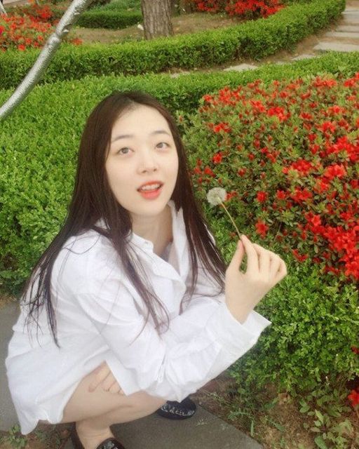 sulli