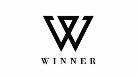 winner 3