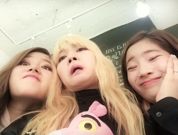 TWICE (Silly photos)/ Pann