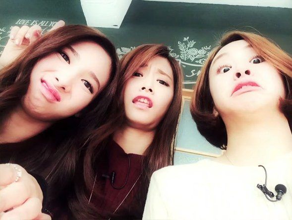 TWICE (Silly photos)/ Pann