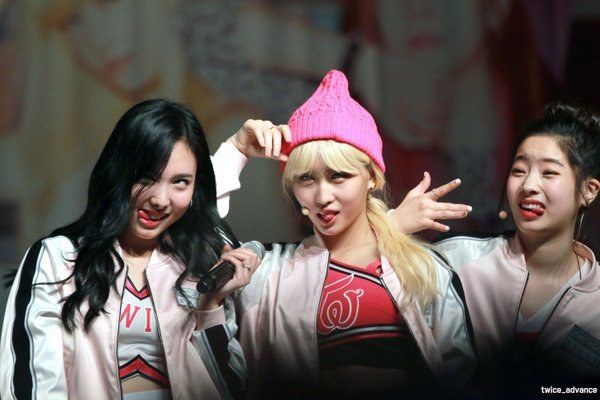 TWICE (Silly photos)/ Pann