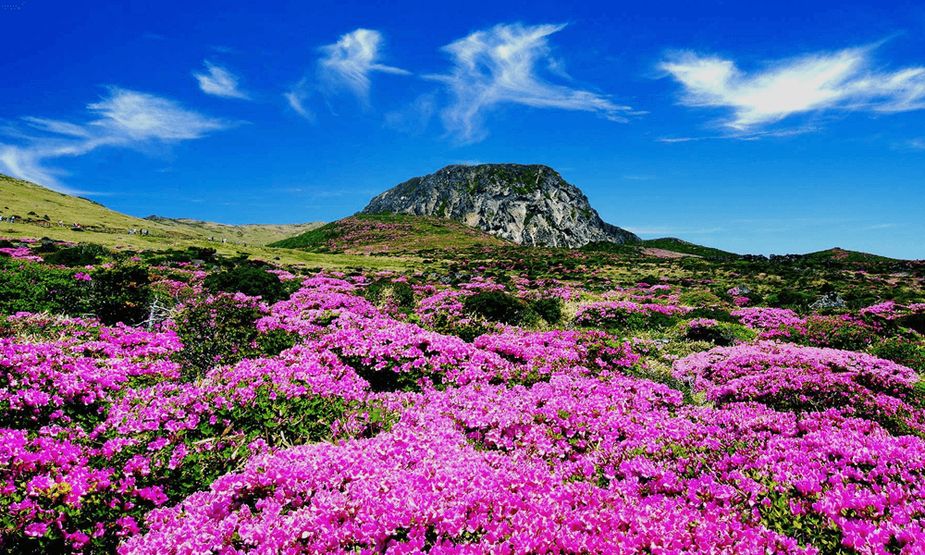 jeju island