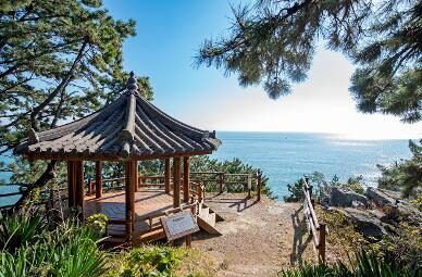 shrine busan