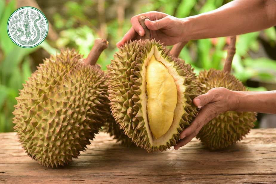 20200826-Thai-Durian-article_FeatImg00