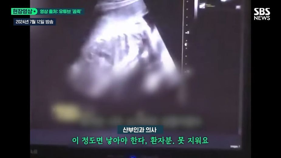 '36주 낙태 브이로그 일파만파 .. 정부 _살인 혐의로 수사해 달라_ _입법 공백으로 무법지대_ (이슈라이브) _ SBS 51-30 screenshot