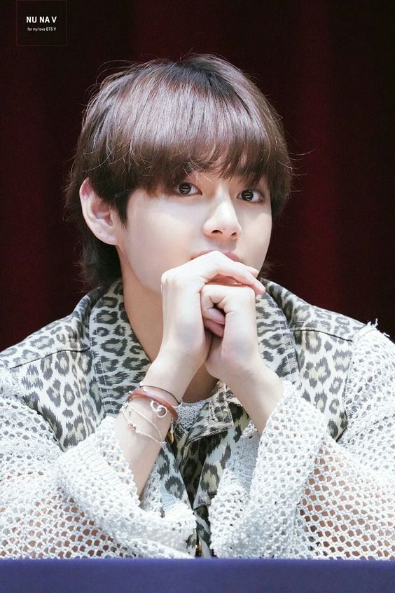 BTS’s V Once Told Fans To Stop Taking Pictures Of Him… But The Reason ...