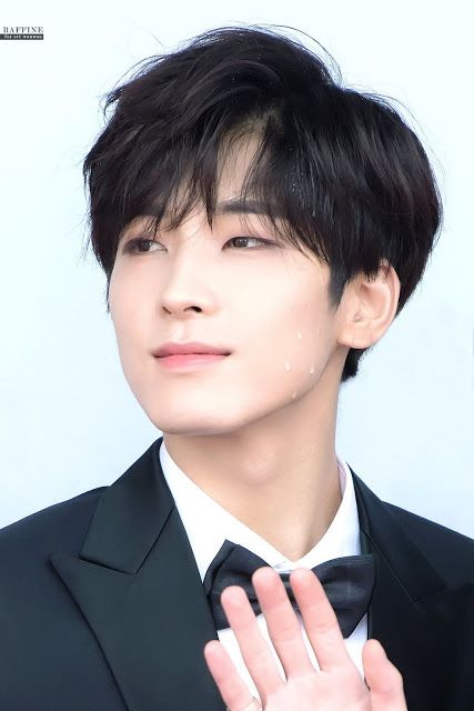 SEVENTEEN's Wonwoo Receives Praise For His Healthy Bulk-Up - Koreaboo