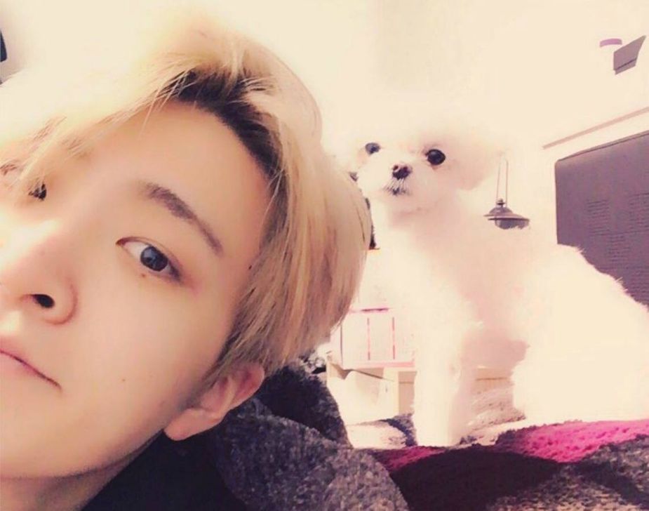 13 Adorable Photos Of Youngjae And His Dog Coco That Will Melt Your