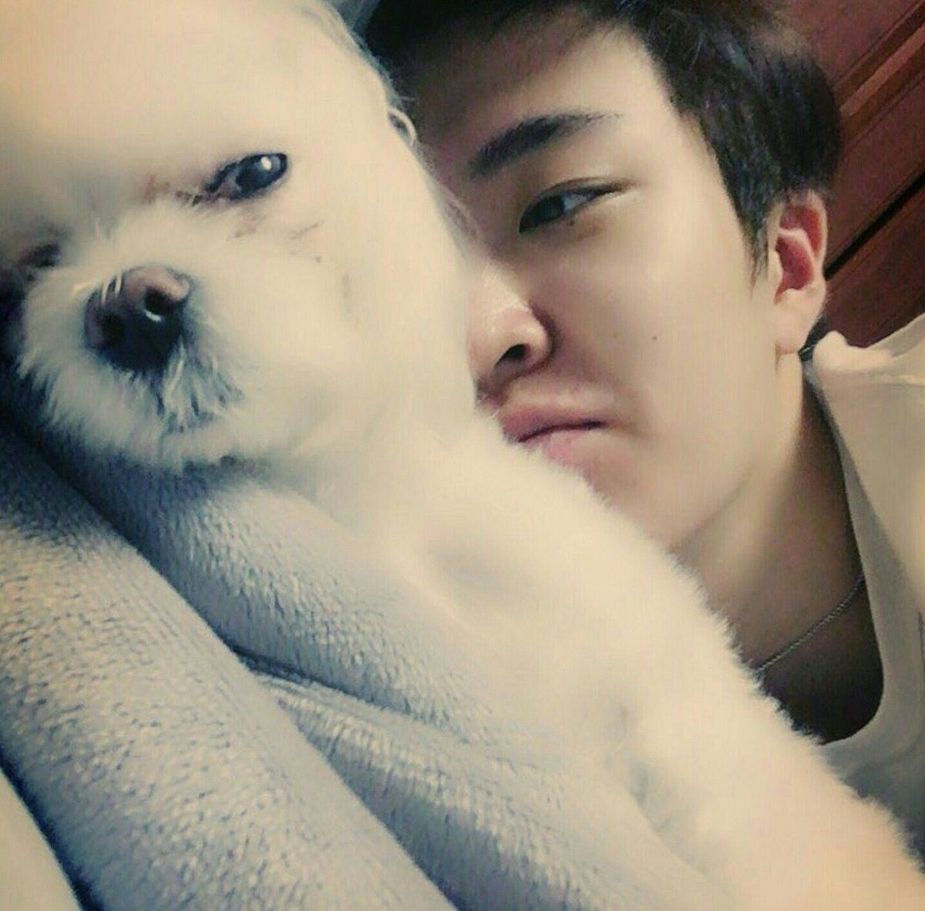 13 Adorable Photos Of Youngjae And His Dog Coco That Will Melt Your