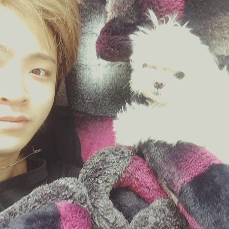 13 Adorable Photos Of Youngjae And His Dog Coco That Will Melt Your
