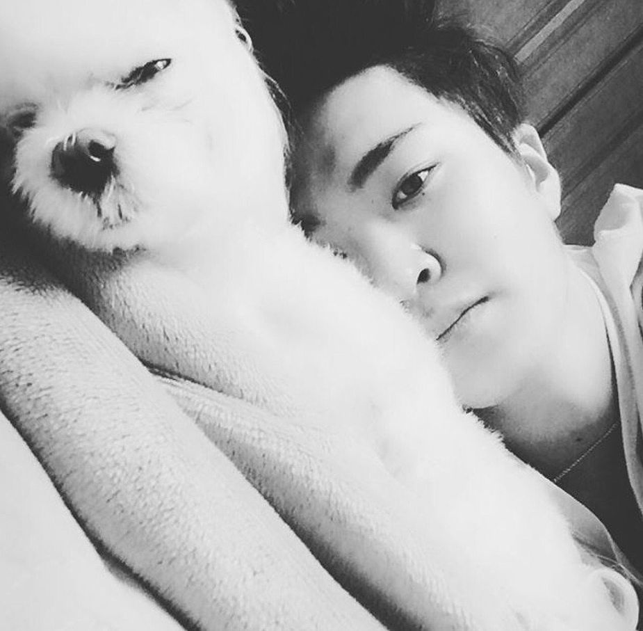 13 Adorable Photos Of Youngjae And His Dog Coco That Will Melt Your