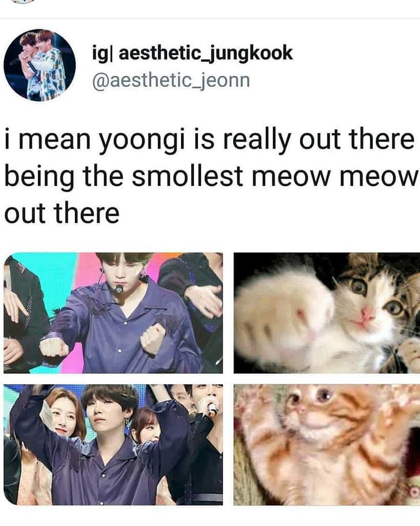 BTS's Suga Loves Cats As Much As You Think He Does, But There's ...