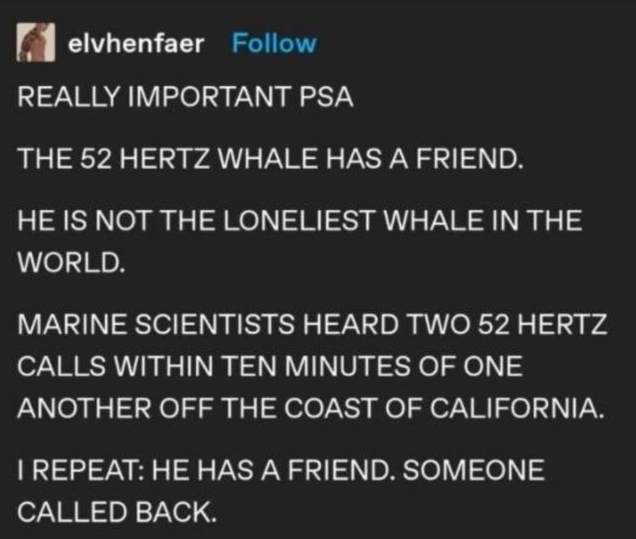 BTS's Whalien 52 And Extraordinary Attorney Woo Represent The Loneliest  Whale Species On Earth — But Research Shows That The Whale Is Alone No  Longer - Koreaboo