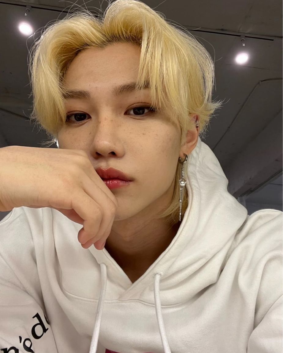 Stray Kids' Felix Looks Good In Every Color, These 15 Pictures Are ...