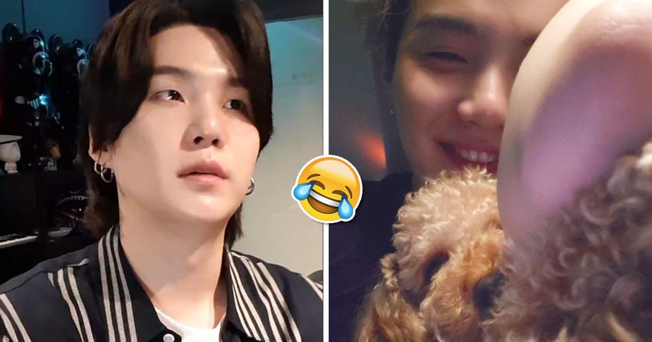 BTS Suga's Dog Holly Is Basically His Boss — Here's His Latest Update ...