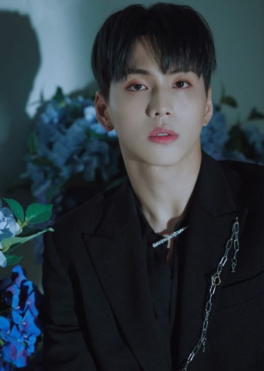 Here's What The 6 "Produce X 101" Vote Manipulation Victims Are Doing Now Koreaboo