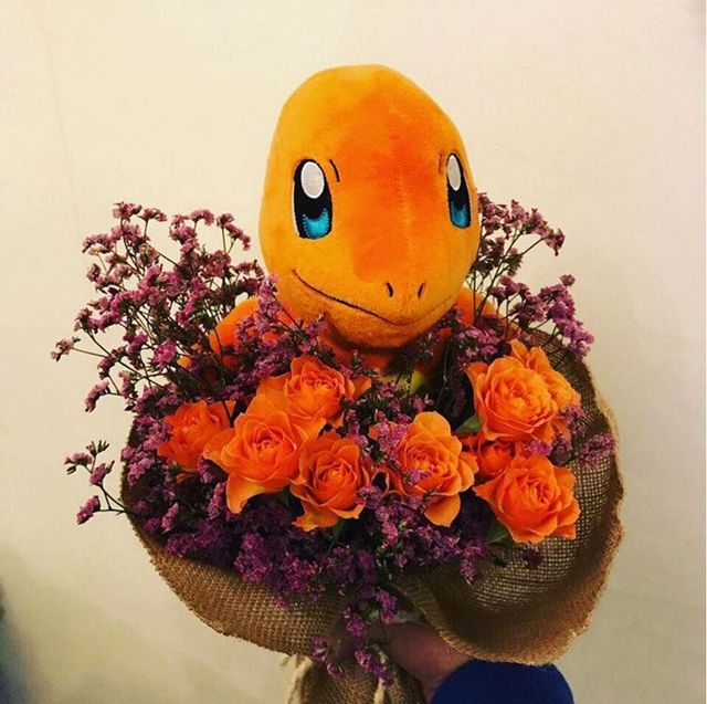 15306772_1813134615630997_5621621584939712512_n