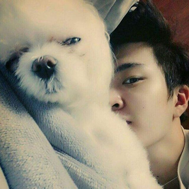 13 Adorable Photos Of Youngjae And His Dog Coco That Will Melt Your