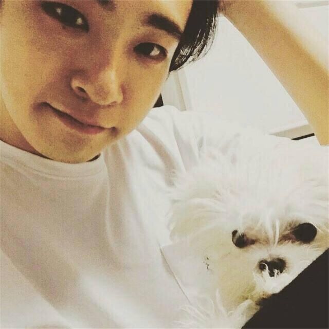 13 Adorable Photos Of Youngjae And His Dog Coco That Will Melt Your