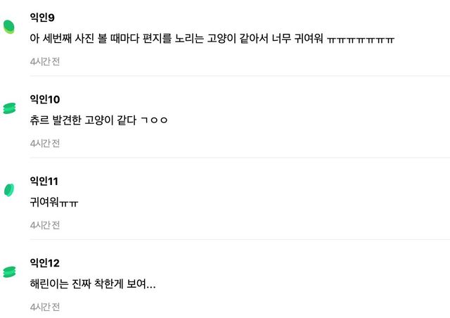 스크린샷 2024-12-26 오후 6.45.45