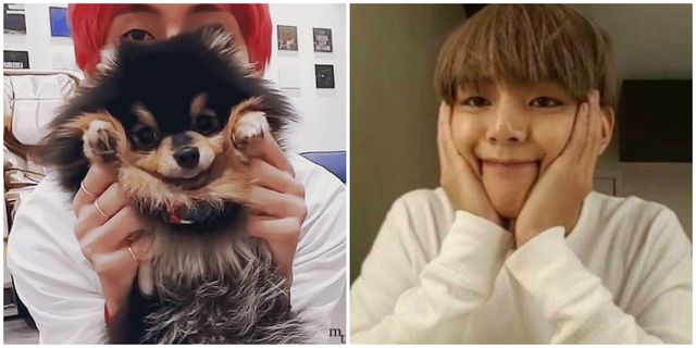 Just 8 Times BTS's V & His Dog Yeontan Literally Looked Like Father ...