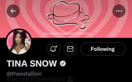 BTS Joins ARMY's Pink Twitter Layout Trend In Honor Of Their "Butter ...