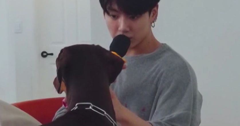 BTS's Jungkook Sings To His Dog Bam, And It's The Most Precious Thing ...