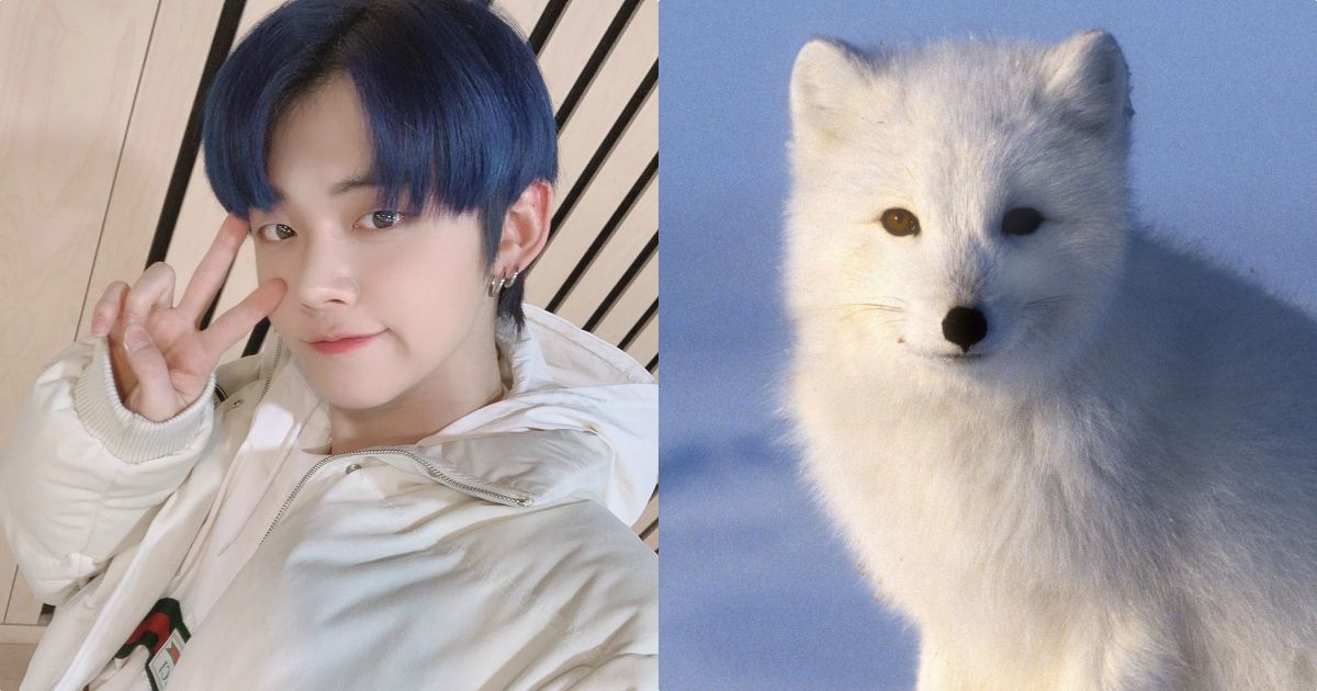 TXT's Yeonjun Knows He's A Fox... Two Kinds Of Foxes, To Be Exact