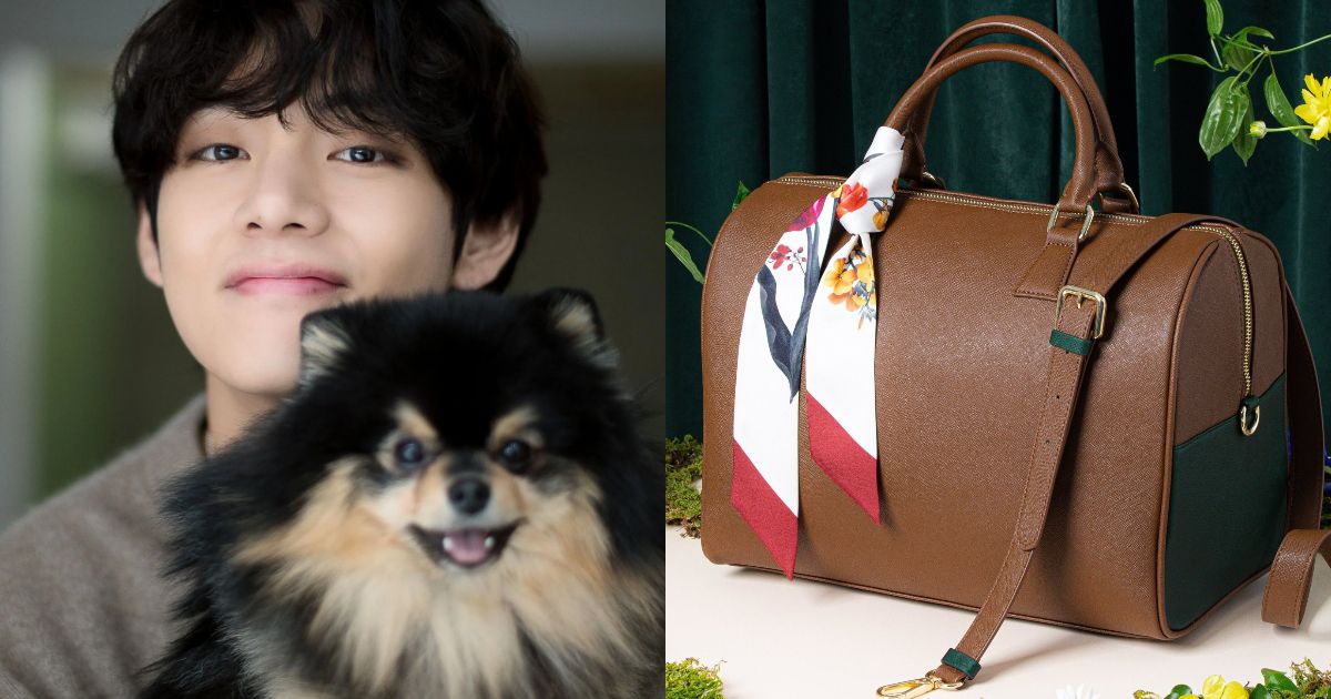 BTS's V Says His SelfDesigned Bag Can Be Used As A Dog Carrier, So An