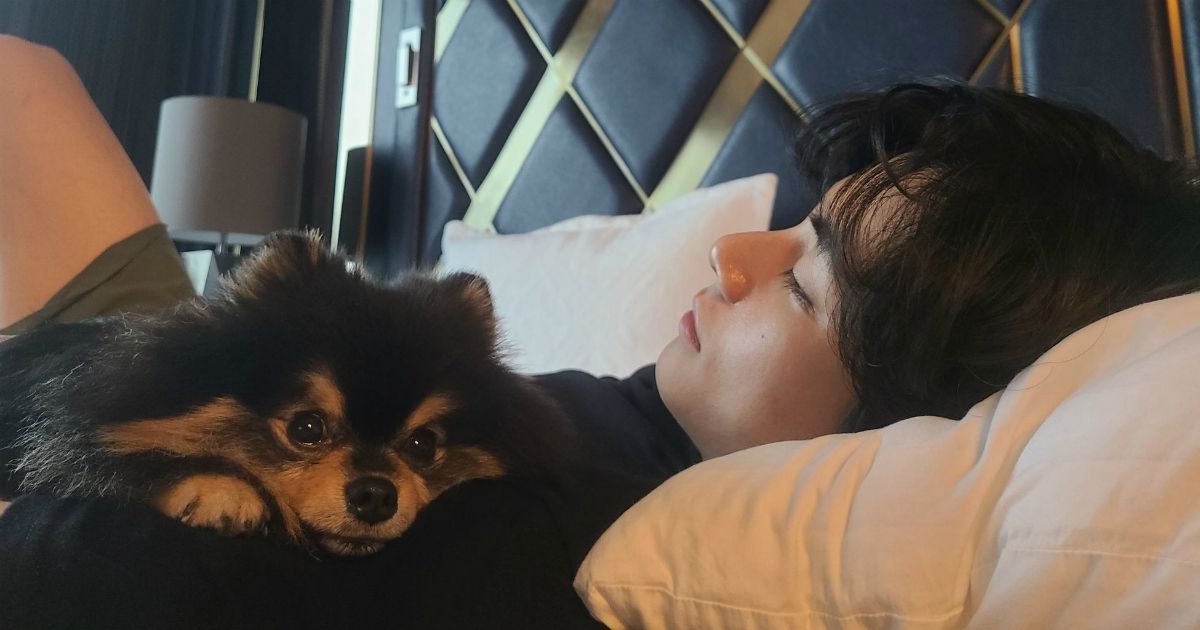 Mystery Solved: BTS's V Reveals The Person Who Took His Cutest Dog-Dad ...