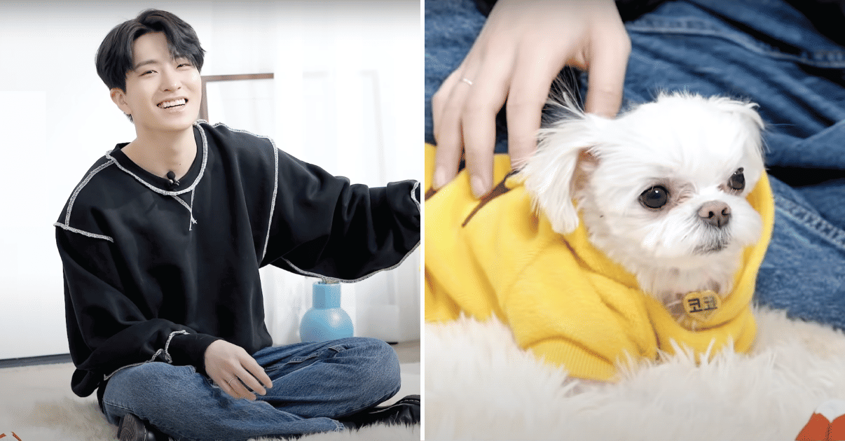 GOT7's Youngjae Is The Cutest Dog Dad To Coco Koreaboo